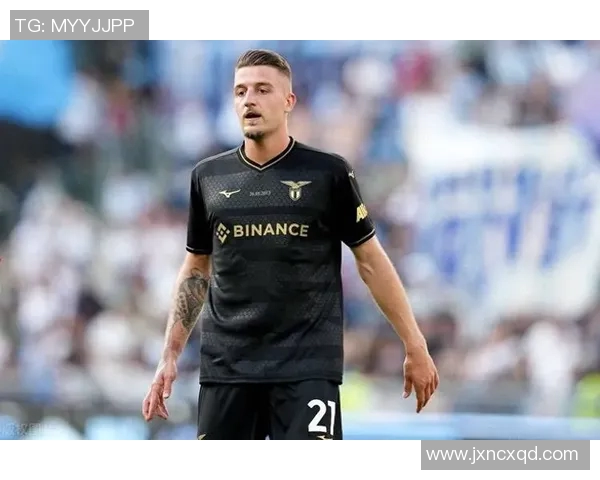 米林科维奇：欧洲杯持续得分，海斯特雷姆年度最佳球员的荣耀时刻