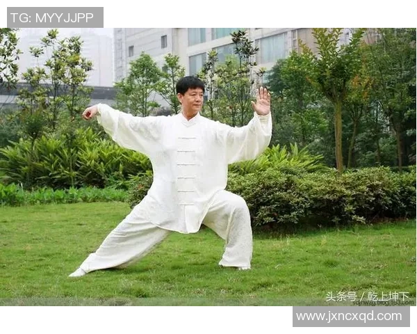 太极拳视频教程：从基础到进阶的全面学习指南与实用技巧分享