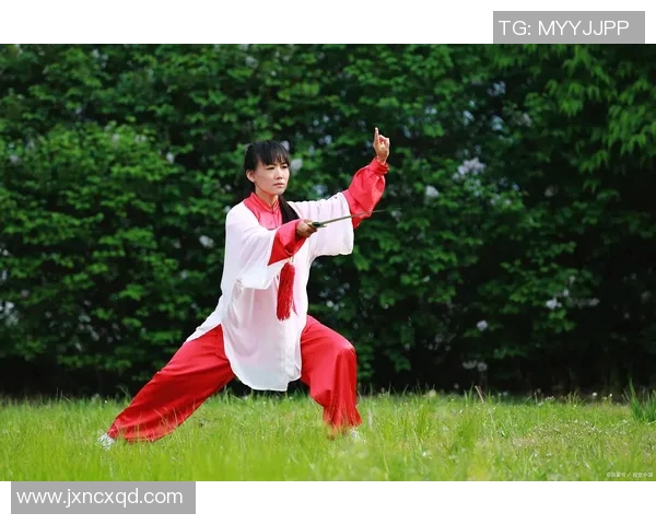 赵保太极传承与创新探讨太极拳在现代社会中的价值与意义